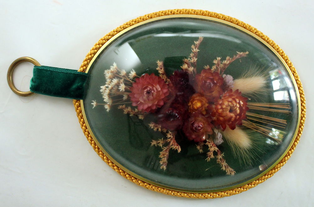 Cadre verre bomb� cabinet de curiosit�s
fleurs immortelles 25 Issy-les-Moulineaux (92)