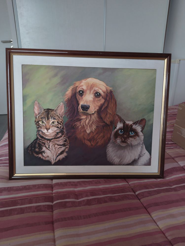 un lot de cadres avec photo ou � l'unit� : 0 Montpellier (34)