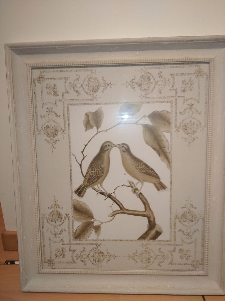 2 cadres avec verre 10 Le Genest-Saint-Isle (53)