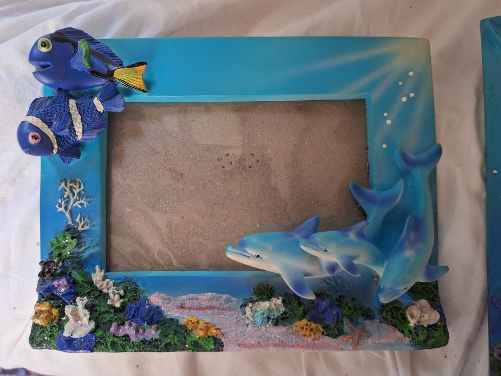 Cadres marin N�mo 10 Foug�res-sur-Bi�vre (41)