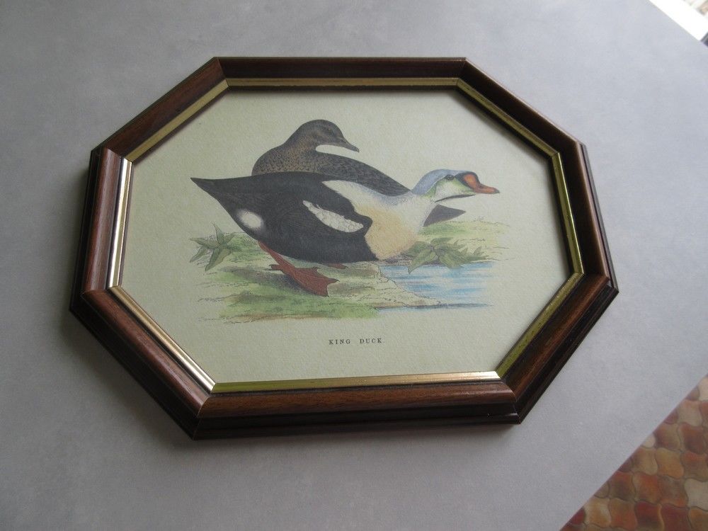 Cadres motif canard 15 Jury (57)