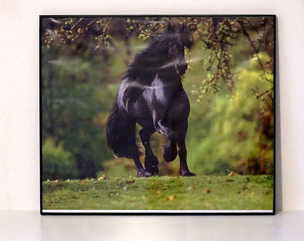 Lot 3 Cadres  Photo Passion   + 2 posters
21 Les Moli�res (91)