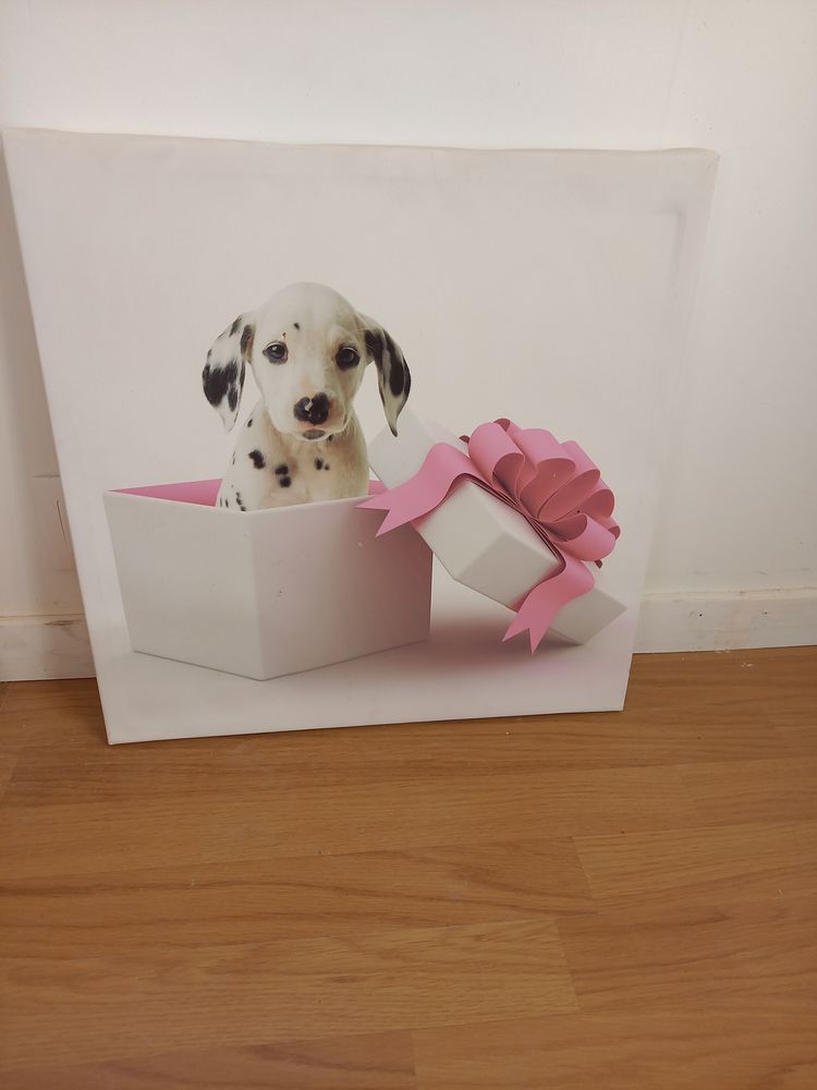 3 cadres en toile 5 Pecquencourt (59)