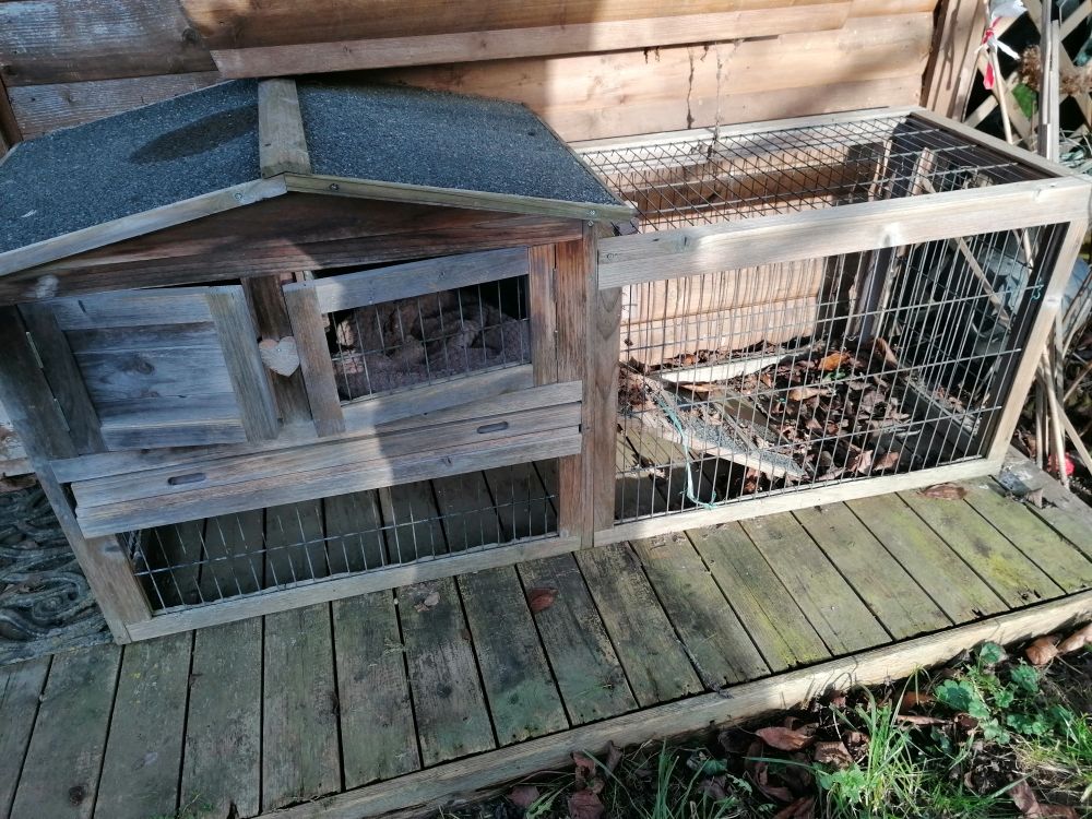 Cage � lapins ou poules 50 Bois-le-Roi (27)