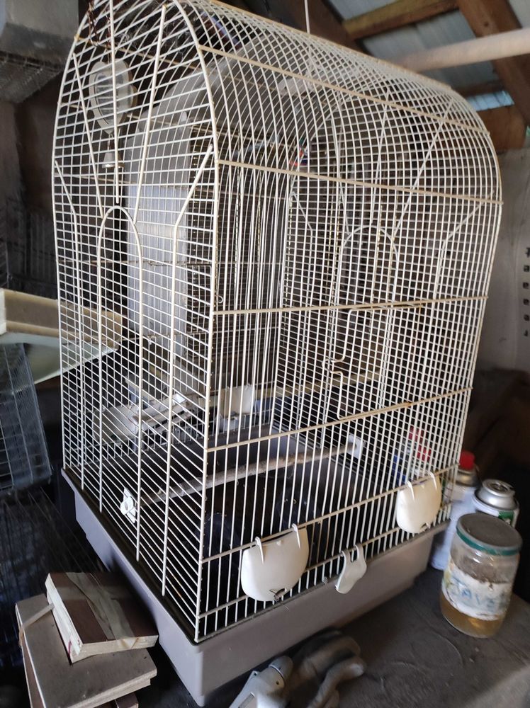 cage+oiseau 50 Moulin-Neuf (24)