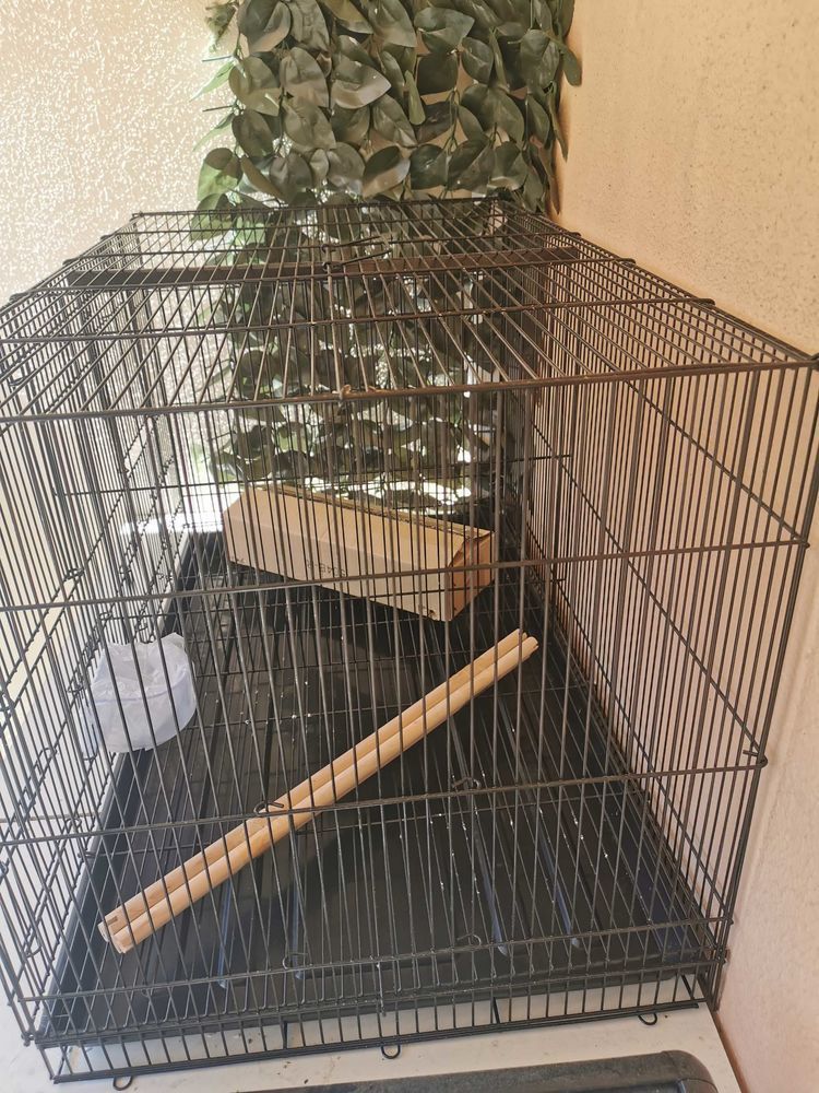 Cage oiseaux neuve 40 Marseille 9 (13)