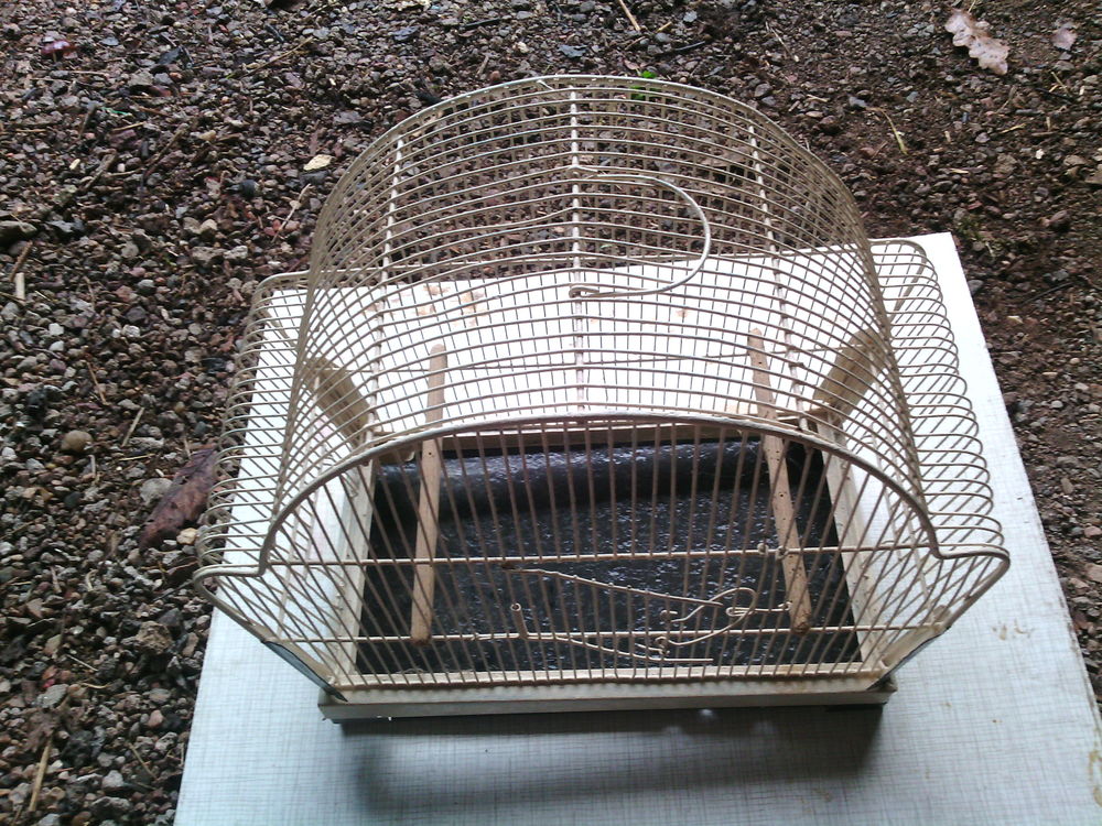 :
cage a oiseaux repeinte toute neuve
soldee a 12e 12 Le Creusot (71)