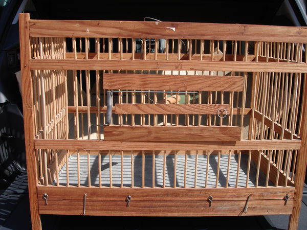 cage oiseaux 0 Soissons (02)