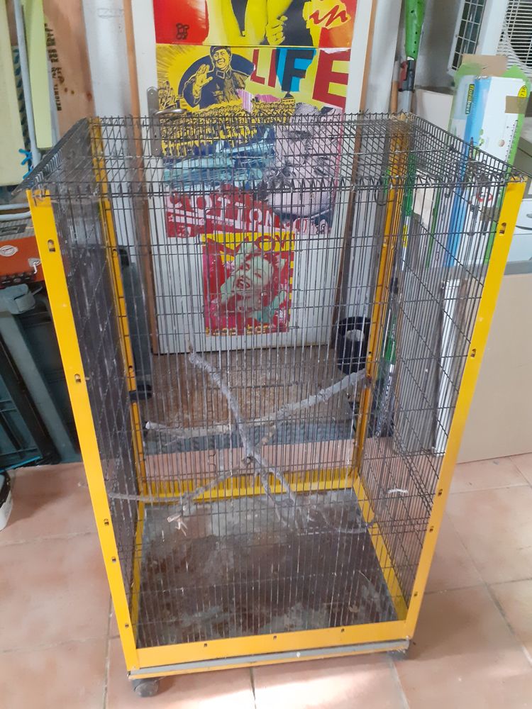 Cage � oiseaux 20 Istres (13)