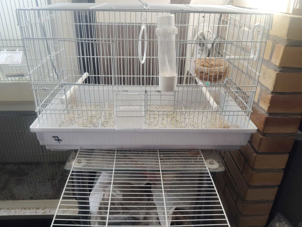 Cage Oiseaux Occasion Bon Coin