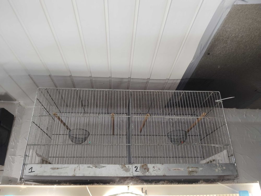 Achetez cage oiseaux vend occasion, annonce vente à La Bassée (59