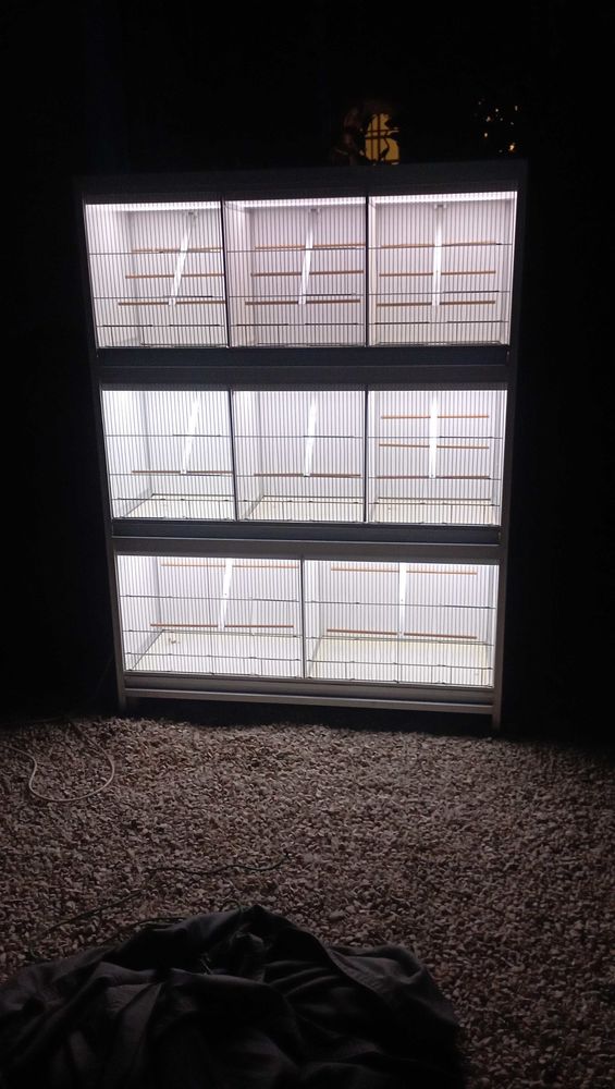 Cage oiseaux 300 Carpentras (84)