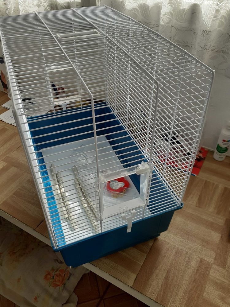 cage oiseaux 25 Lognes (77)