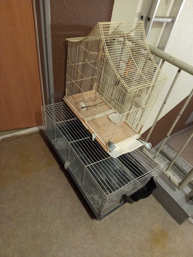 cage �  oiseaux 65 Creil (60)