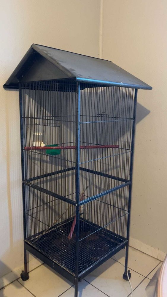 Sitemapcdatahttpsfreydreferenzcomcage Oiseaux Occasion Particuliernull