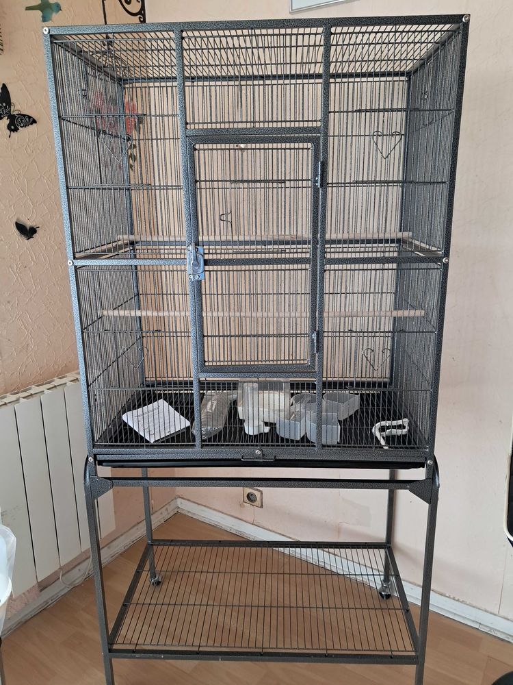 cage oiseaux 50 Guyancourt (78)