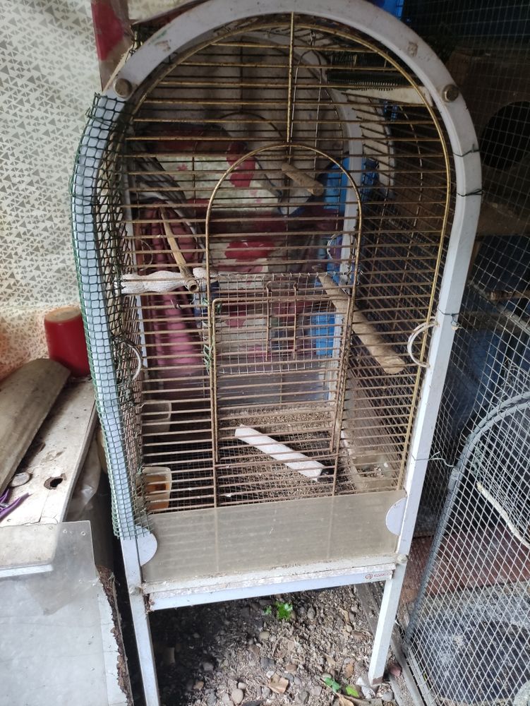 cage � perroquet 120 Saint-Ciers-d'Abzac (33)