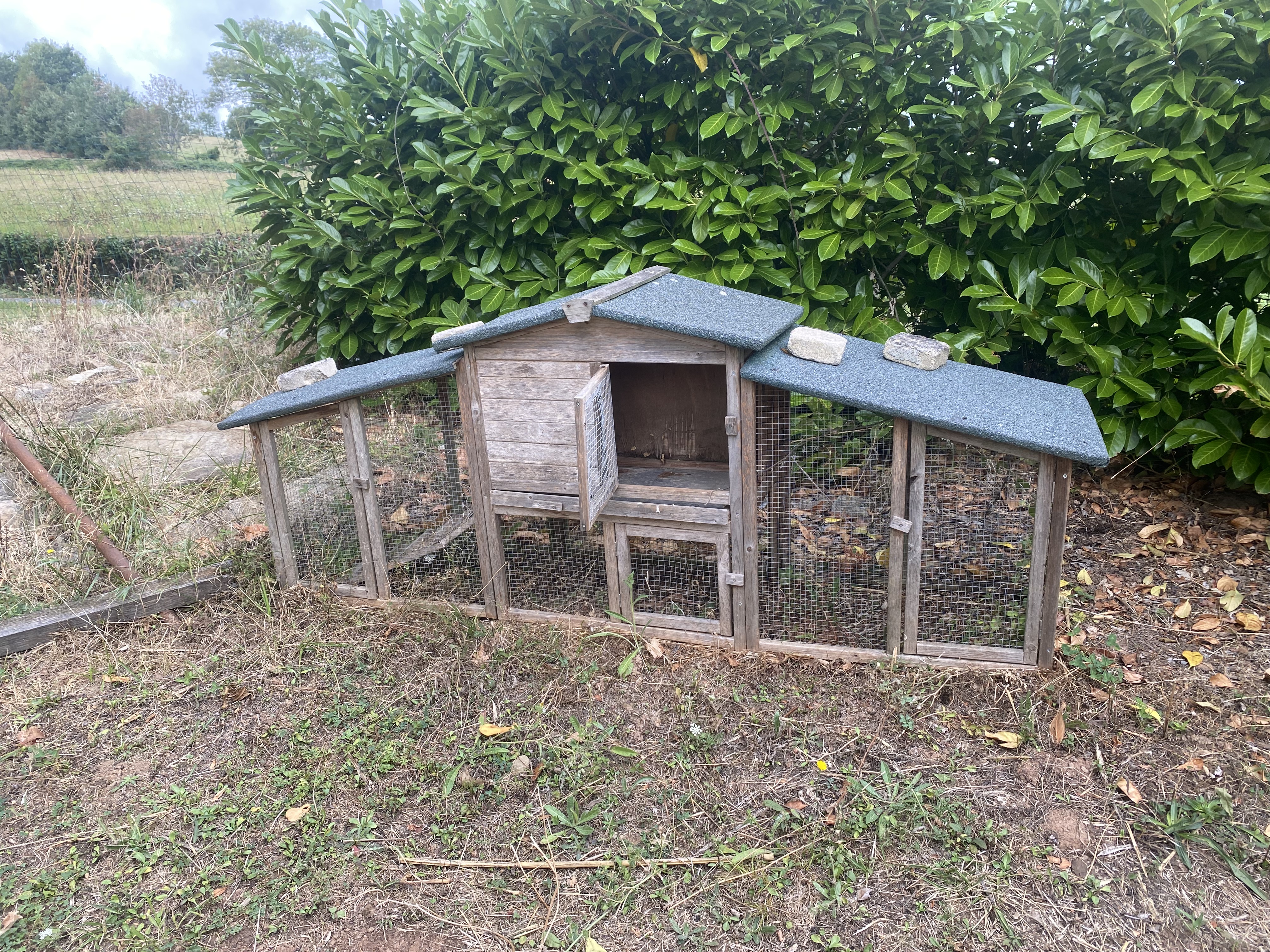 Cage � poule 50 Coupiac (12)