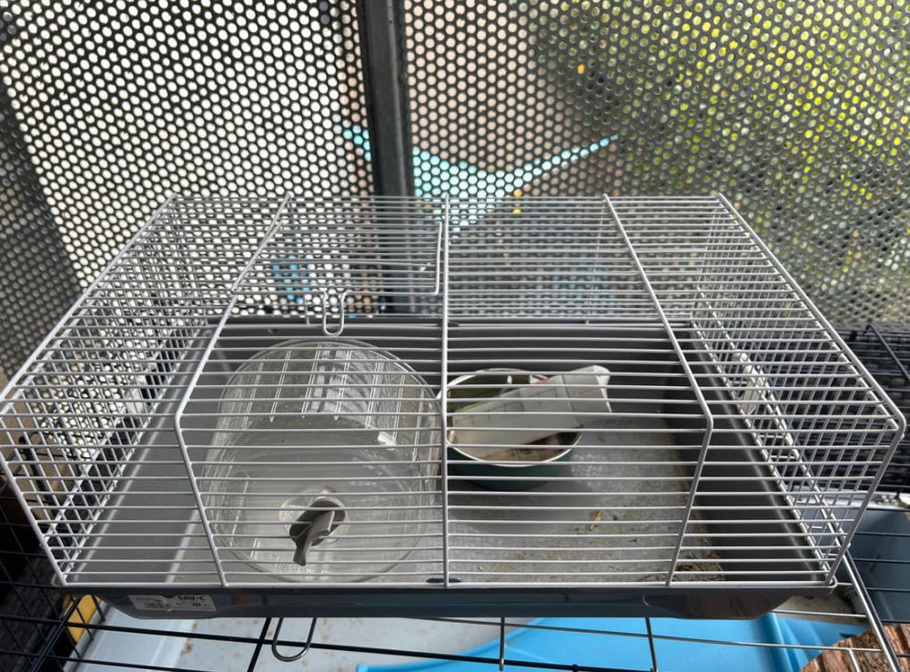 cage pour hamster 15 La Verpilli�re (38)