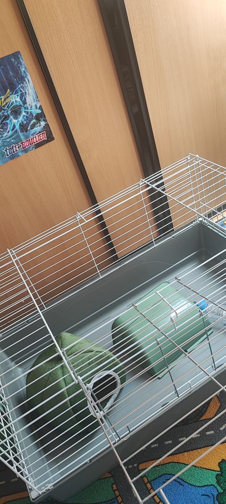 Cage pour rongeur toute �quip�e 35 Saint-Leu-d'Esserent (60)