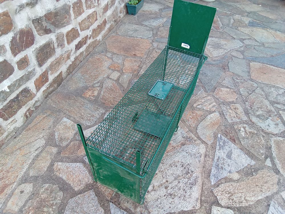                  CAGE  DE   REPRISE 50 Moyraz�s (12)