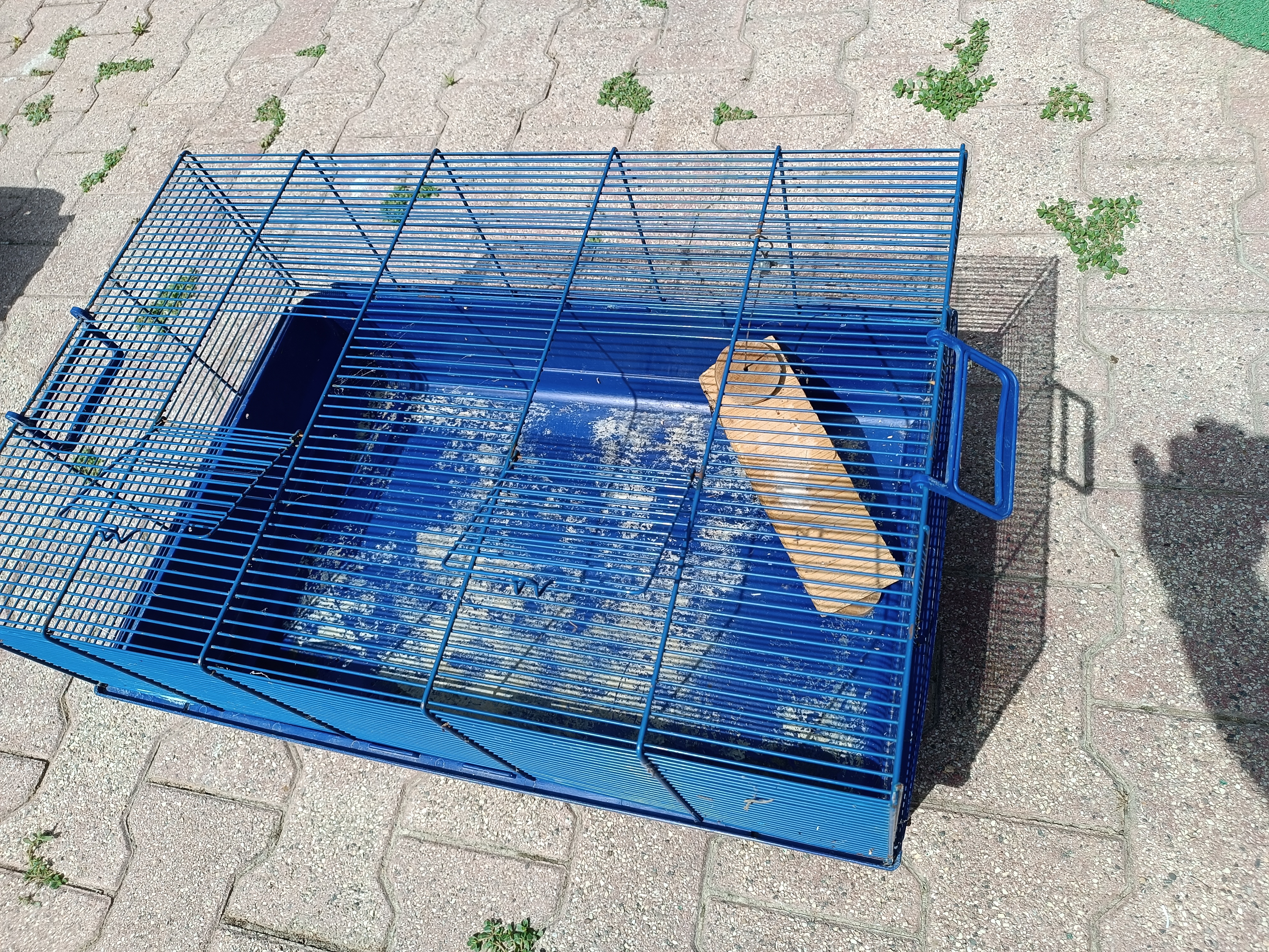 Cage rongeur 0 Boll�ne (84)