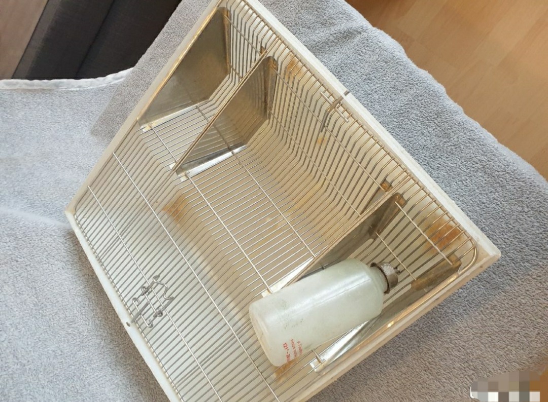 cage � souris/rats/rongeurs 15 Bonneuil-sur-Marne (94)