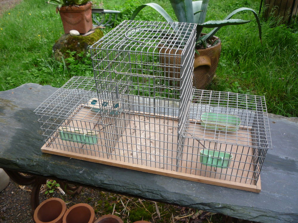 Cage de transport appelant / chasse / palombi�re 35 Castres (81)