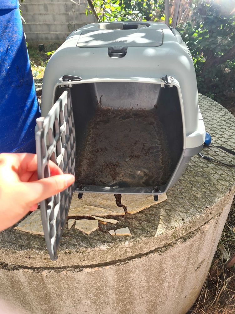 cage de transport chat 9 B�ziers (34)