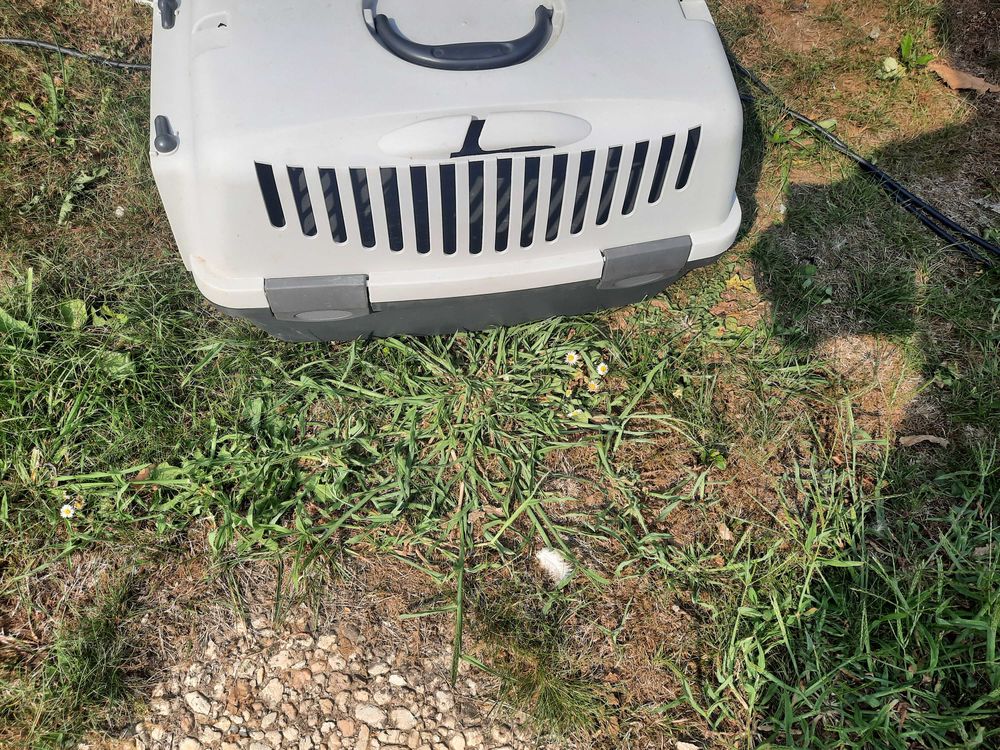 cage de transport pour chats ou chiens 30 Caug� (27)