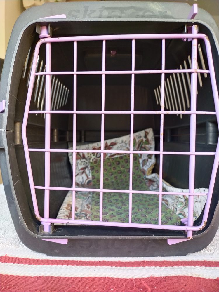 Cage de transport pour chat 3 Saint-Pierre-en-Faucigny (74)