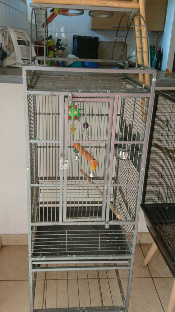 Cage 100 Les Martres-de-Veyre (63)