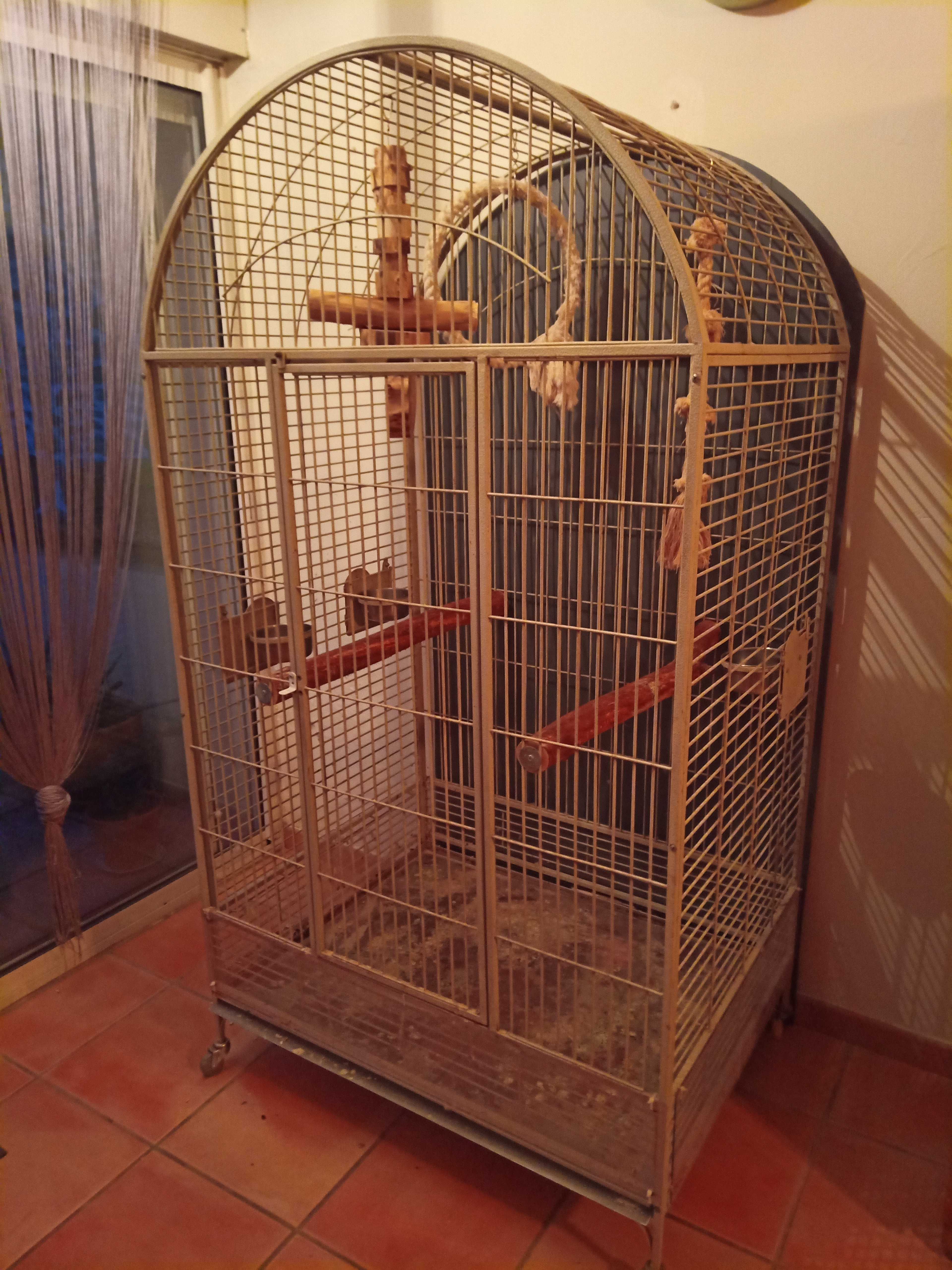 cage 180 Cruviers-Lascours (30)