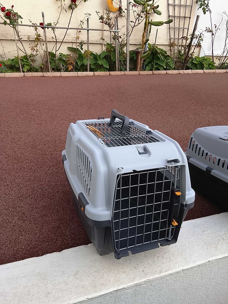 cages animaux 15 Les Sables-d'Olonne (85)