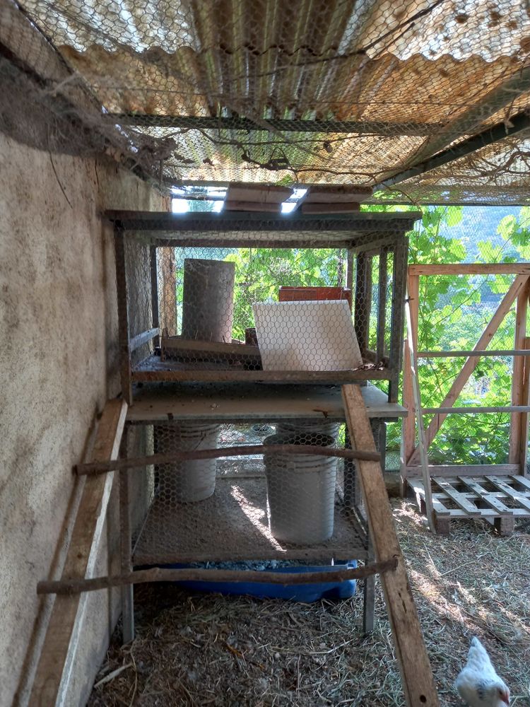 cages �  lapins 100 Auribeau-sur-Siagne (06)