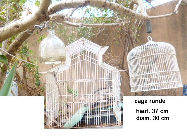 CAGES � oiseaux pour plantes ou autres d�corations - zoe 15 Martigues (13)