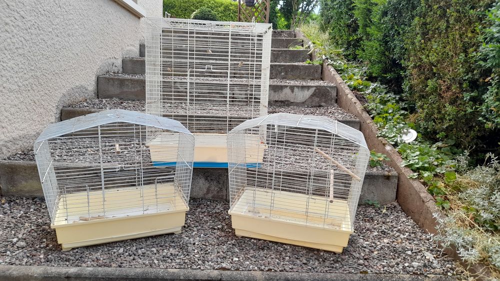 Achetez lot de 3 cages à occasion, annonce vente à Senargent-Mignafans