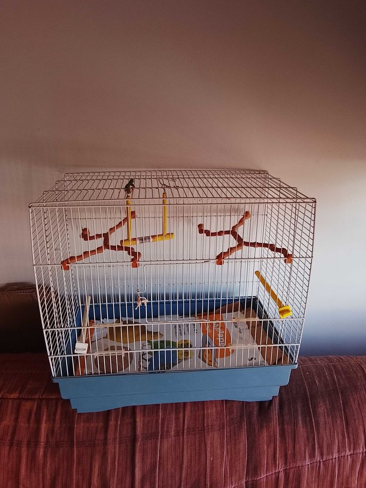 cages+oiseaux 30 Les Sables-d'Olonne (85)