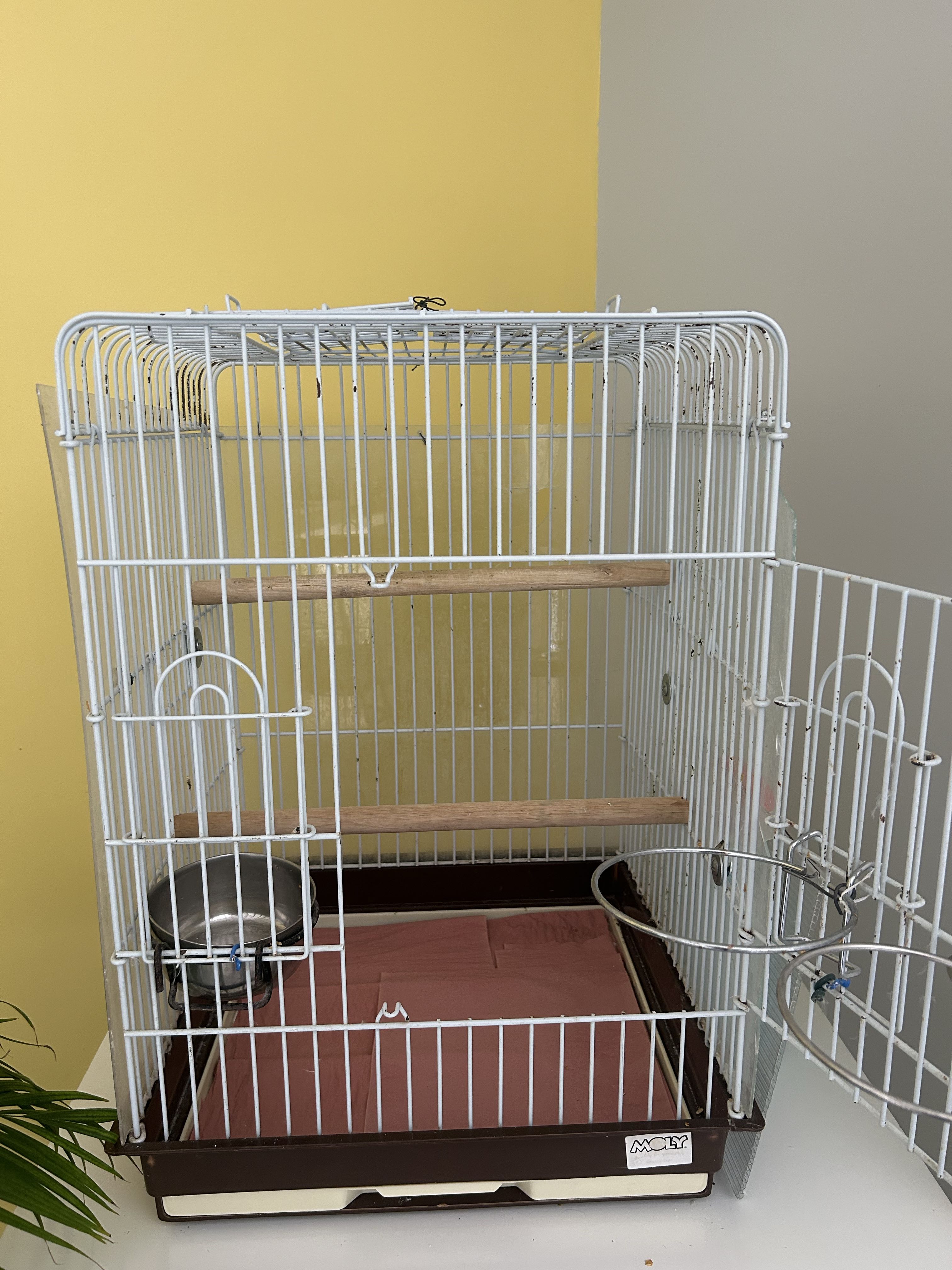 cages perroquets ou grandes perruches 30 Ambar�s-et-Lagrave (33)