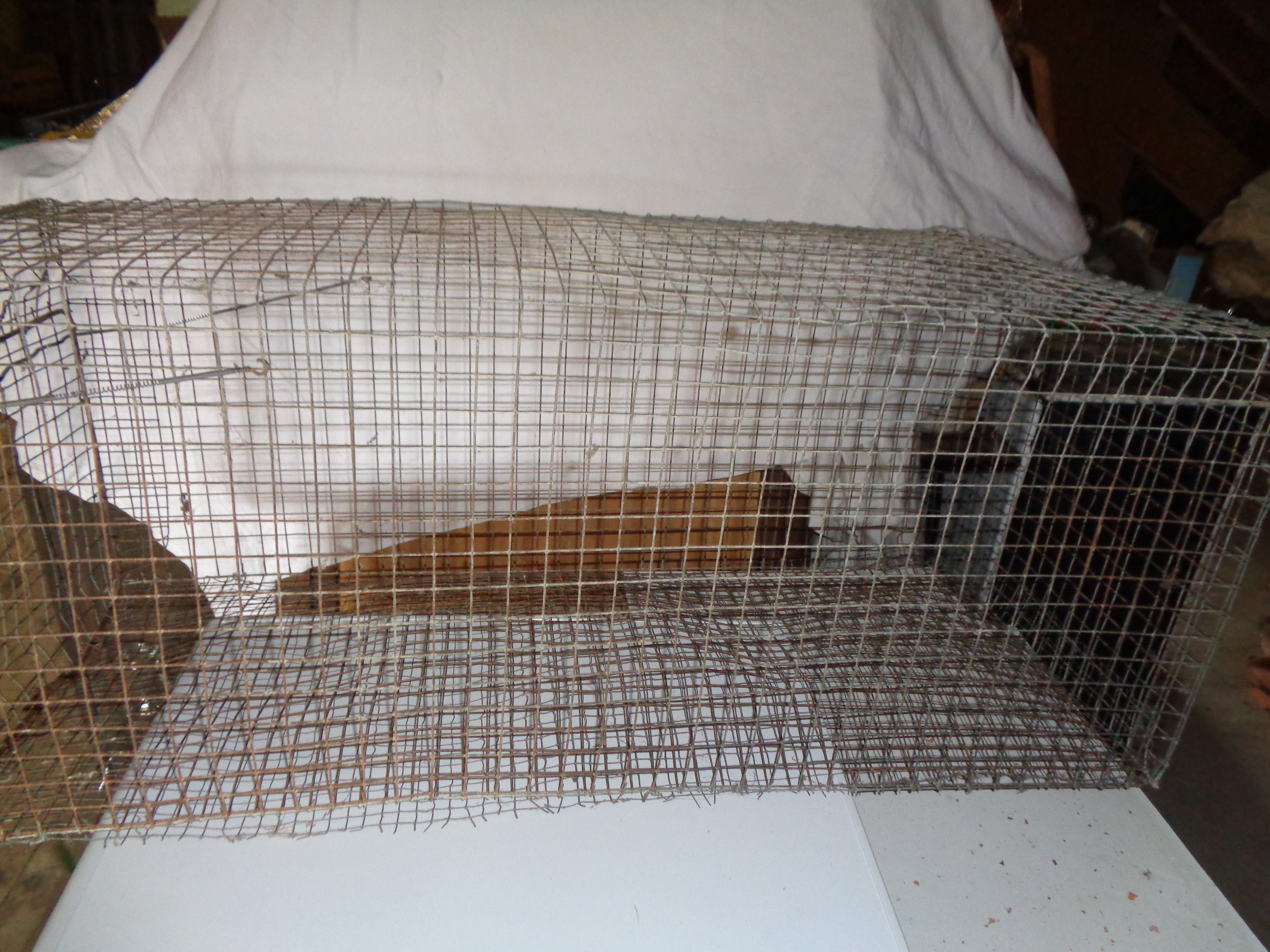 cages en tout grillage pour transport animaux et plus 15 La Bresse (88)