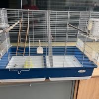 cages et voli�res 30 Jonchery (52)