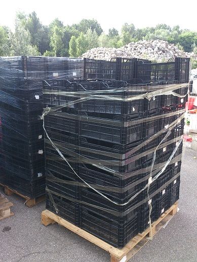 Lot de cagettes en plastique 1 Cessieu (38)