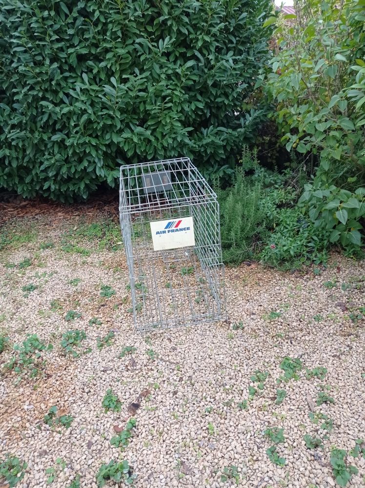 Caisse de transport pliable pour animal 159 Bourgvilain (71)
