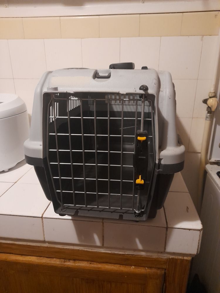 caisse transport pour chat et petit chien 25 Charenton-le-Pont (94)