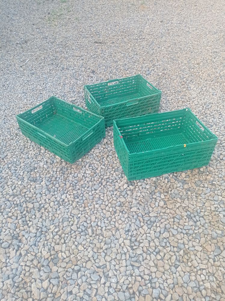 Caisses pliables. 6 Dijon (21)