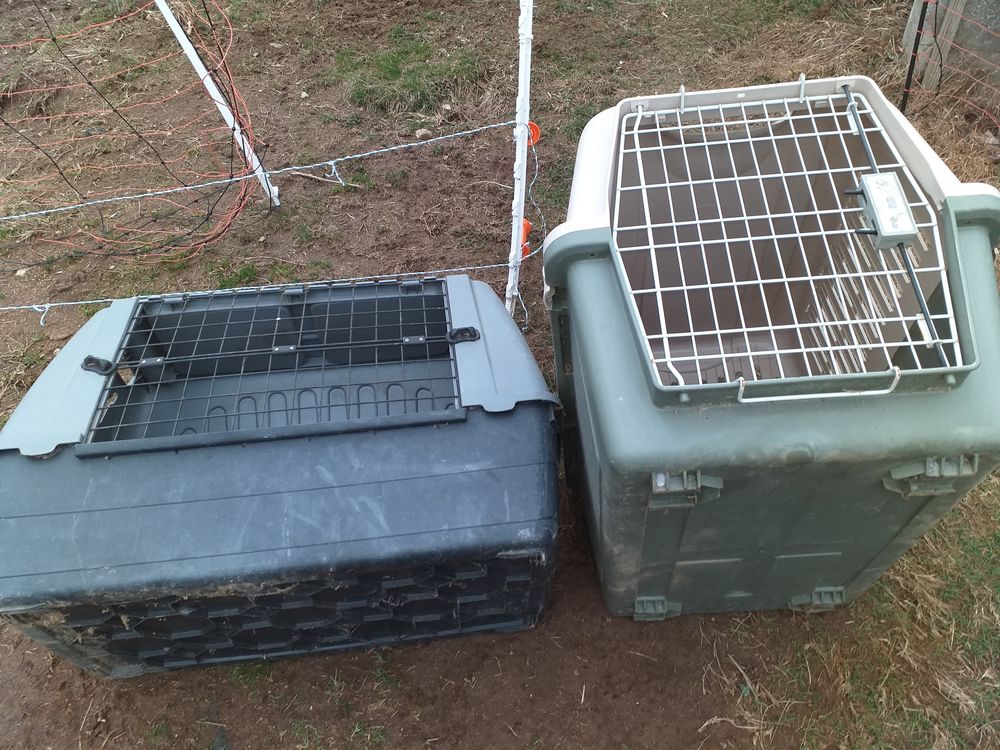 Caisses pour Chiens 40 La Renaudie (63)