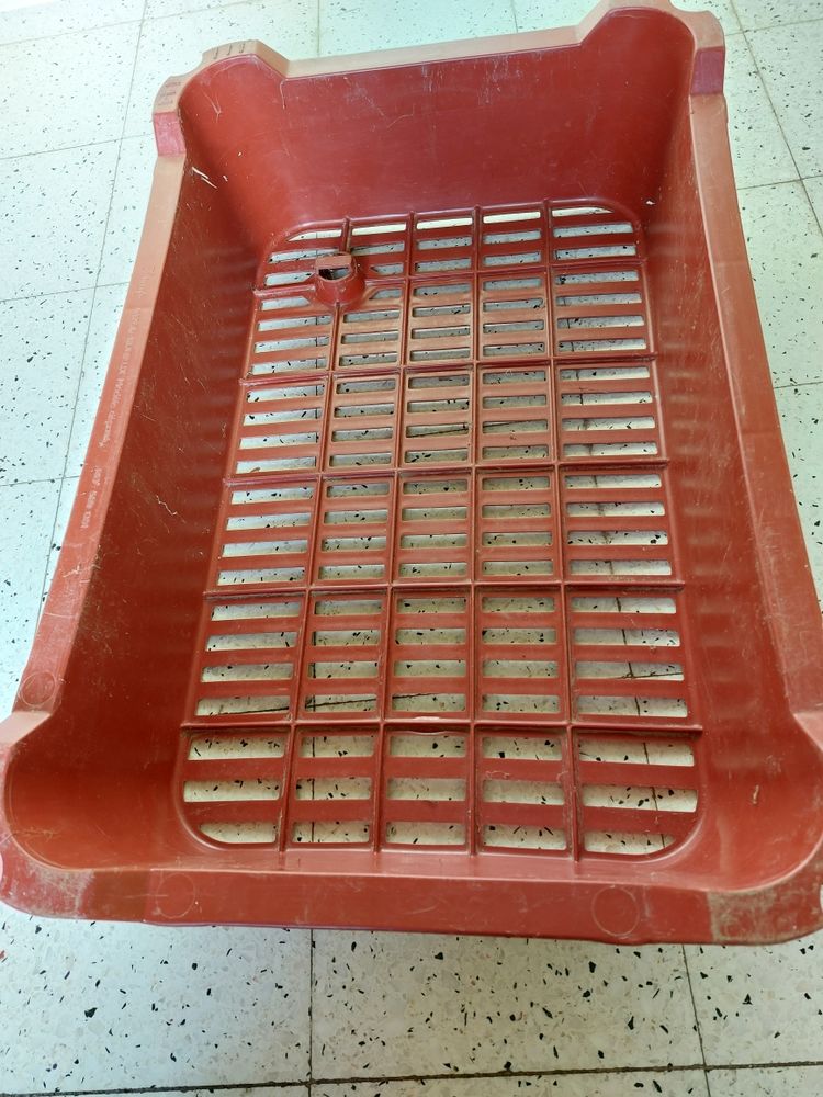 Caisses pour la culture d'endives 0 Bienvillers-au-Bois (62)