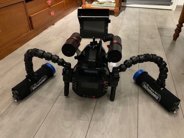 Caisson mangrove + cam�ra Sony CX550V+ eclairages 3000 Fondettes (37)