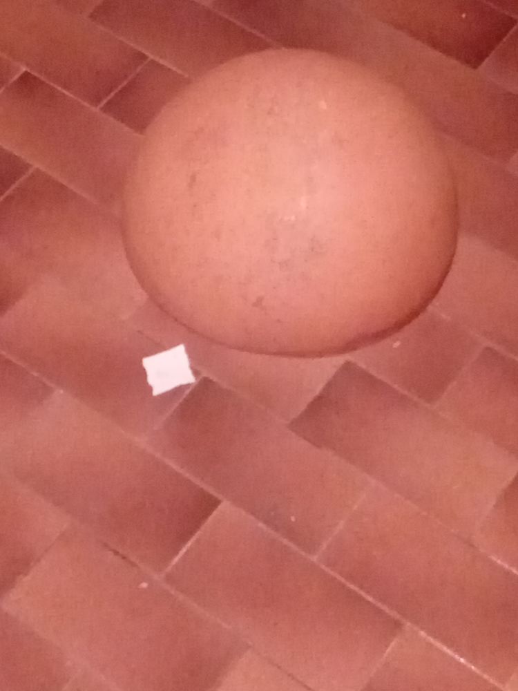 Calebasse demi 60 Lattes (34)