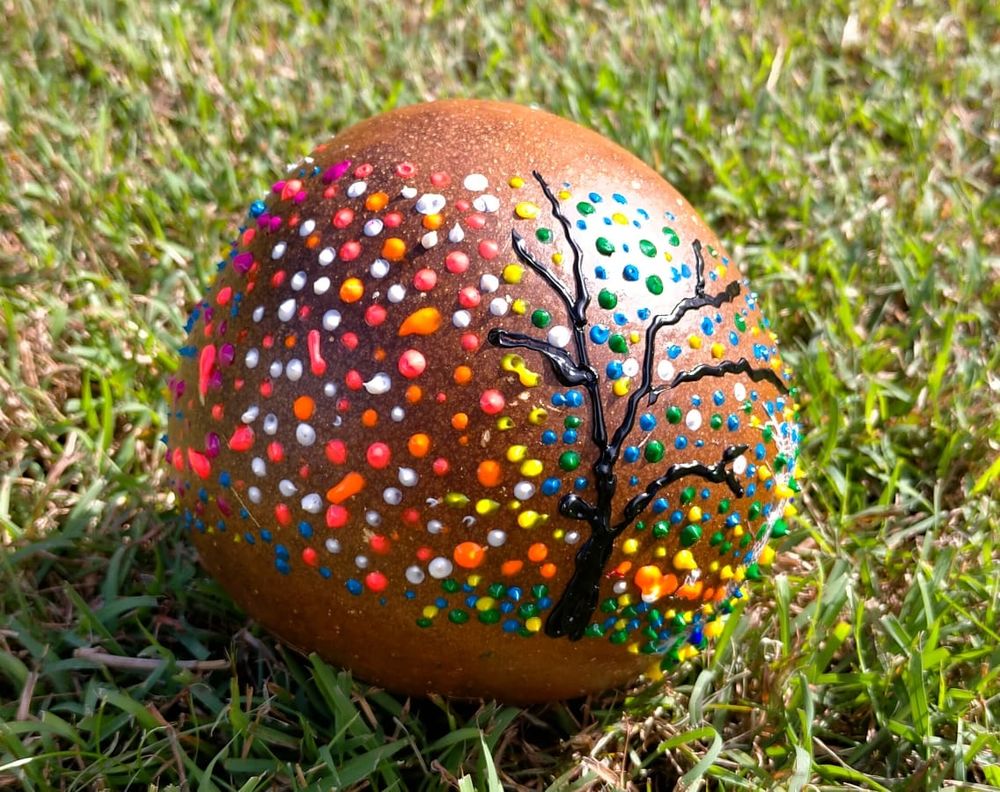 calebasses fraiches ou vieillies a decorer 2 Le Moule (97)